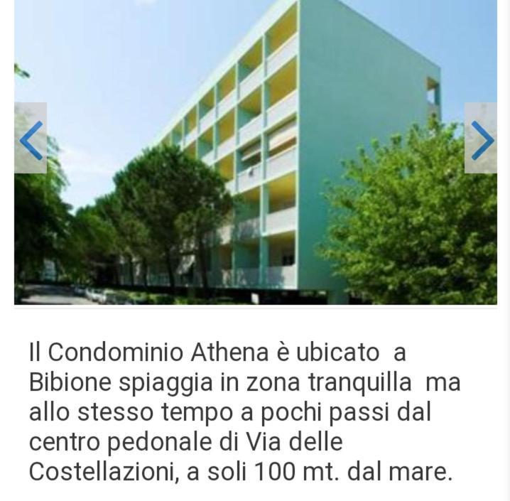Athena Bibione